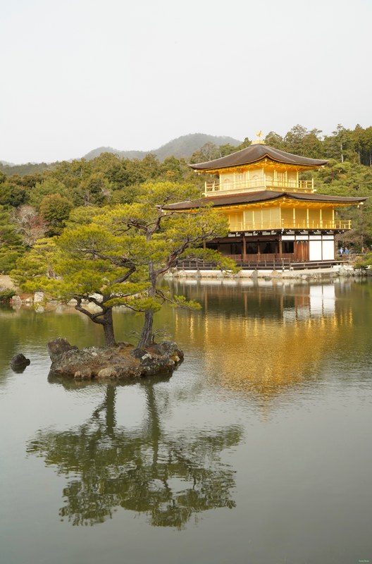 Kyoto - Kinkaku-ji - Golden Pavilion By Morning - cover.SA701385.ok.editted