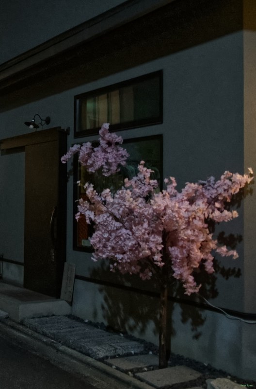 Kyoto - Night Views Of Yasaka Pagoda - SA701138.editted.right