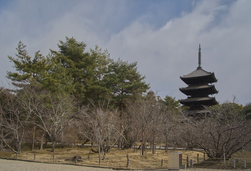 Kyoto - Ninnaji Temple - SA701481.editted