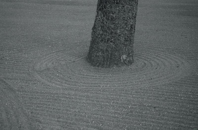 Kyoto - Ninnaji Temple - SA701526.editted