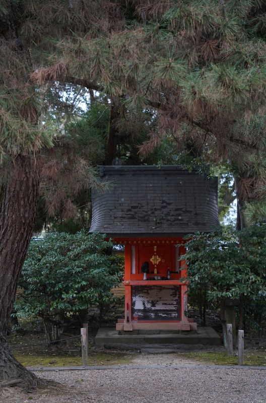 Kyoto - Ninnaji Temple - SA701552.editted