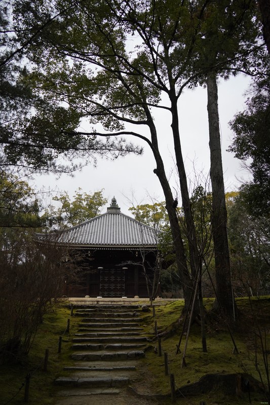Kyoto - Ninnaji Temple - SA701558.ok
