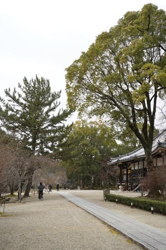 Kyoto - Ninnaji Temple - SA701563.ok.editted