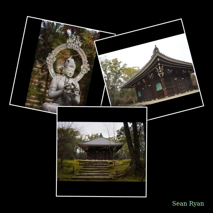 Kyoto - Ninnaji Temple - Every Day Photos