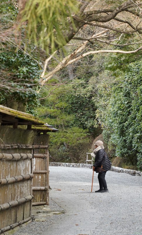 Kyoto - Ryoan-ji Temple - SA701412.old-lady-like-Eibhlin.editted