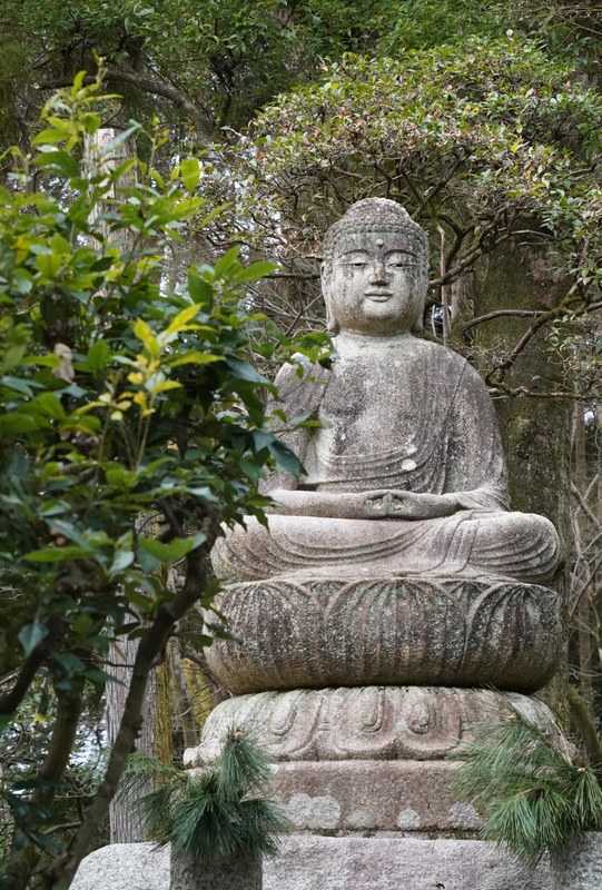 Kyoto - Ryoan-ji Temple - SA701413.ok.buddha.editted