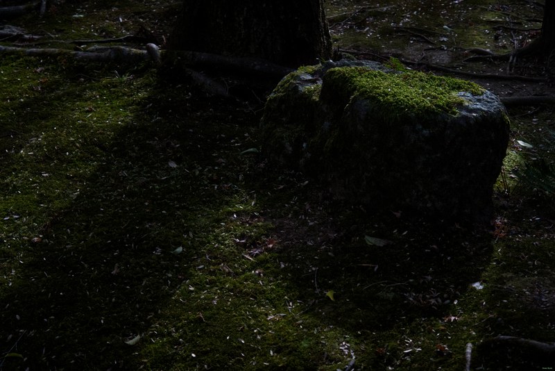Kyoto - Ryoan-ji Temple - SA701422.editted