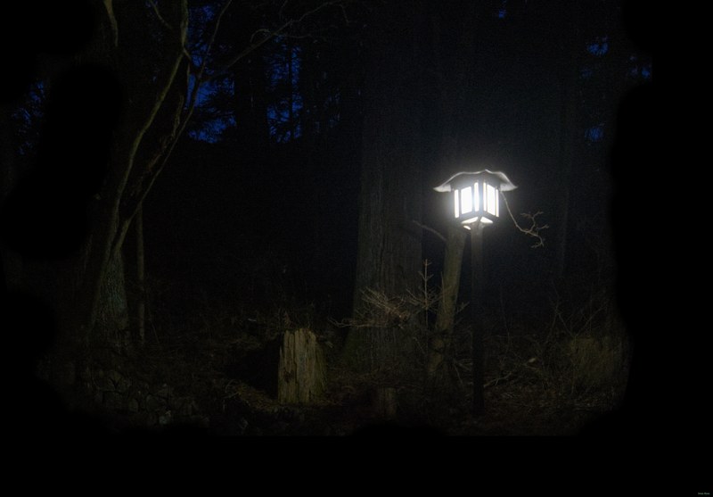 Nikko - Futarasan-jinja Haiden Temple And Forests - SA700711.editted