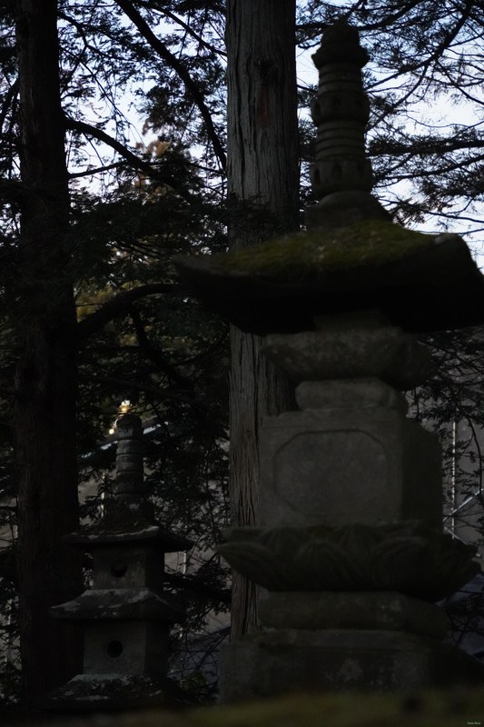 Nikko - Futarasan-jinja Haiden Temple And Forests - SA700721