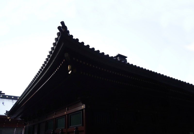 Nikko - Futarasan-jinja Haiden Temple And Forests - SA700724.editted