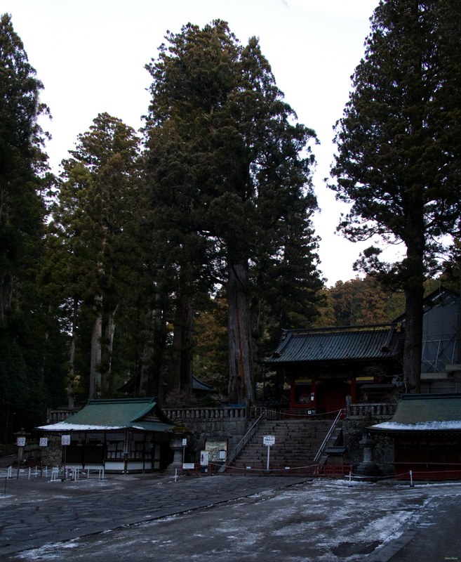 Nikko - Futarasan-jinja Haiden Temple And Forests - SA700738.editted