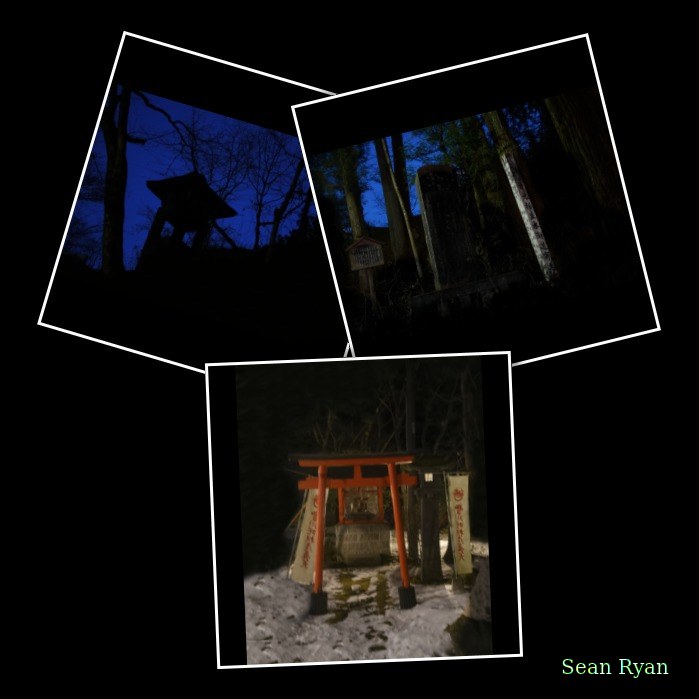 Nikko - Futarasan-jinja Haiden Temple And Forests - Every Day Photos