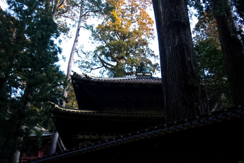 Nikko Temples - Futarasan-jinja Shrine And Takinoo Birth-and-marriage Shrine - SA700755.editted
