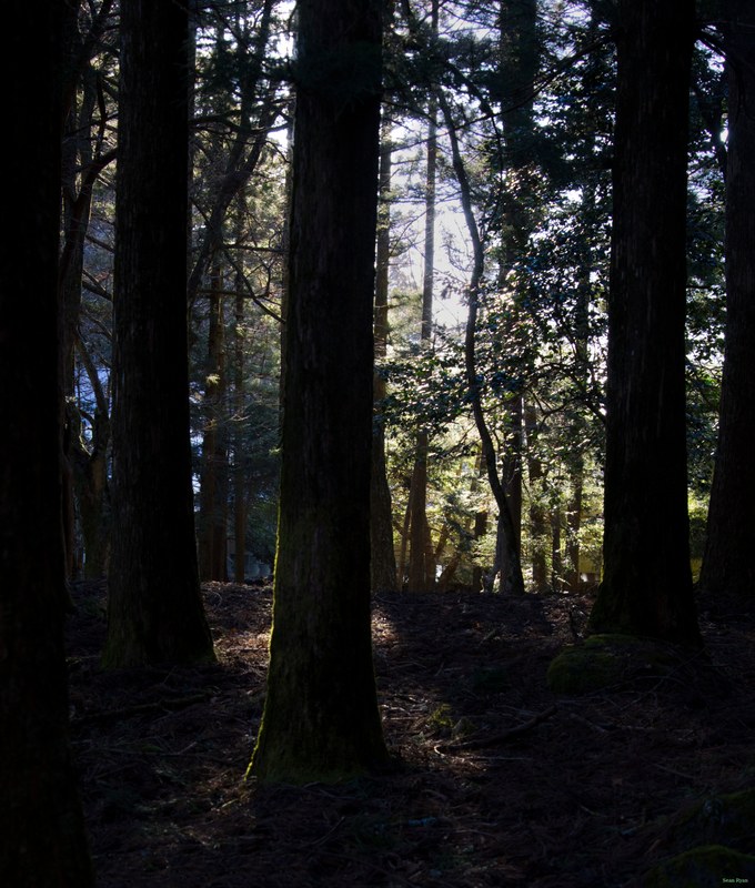 Nikko Temples - Futarasan-jinja Shrine And Takinoo Birth-and-marriage Shrine - SA700810.editted