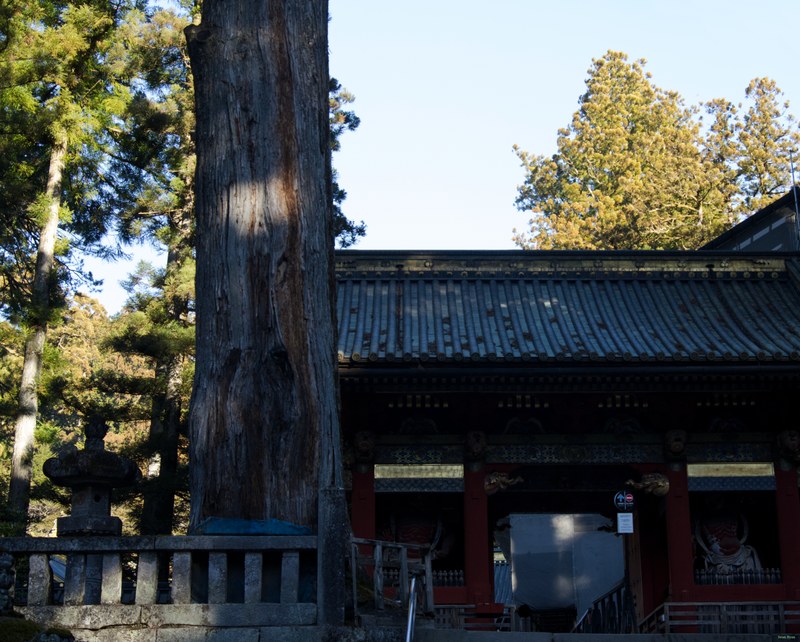 Nikko Temples - Futarasan-jinja Shrine And Takinoo Birth-and-marriage Shrine - SA700817.editted
