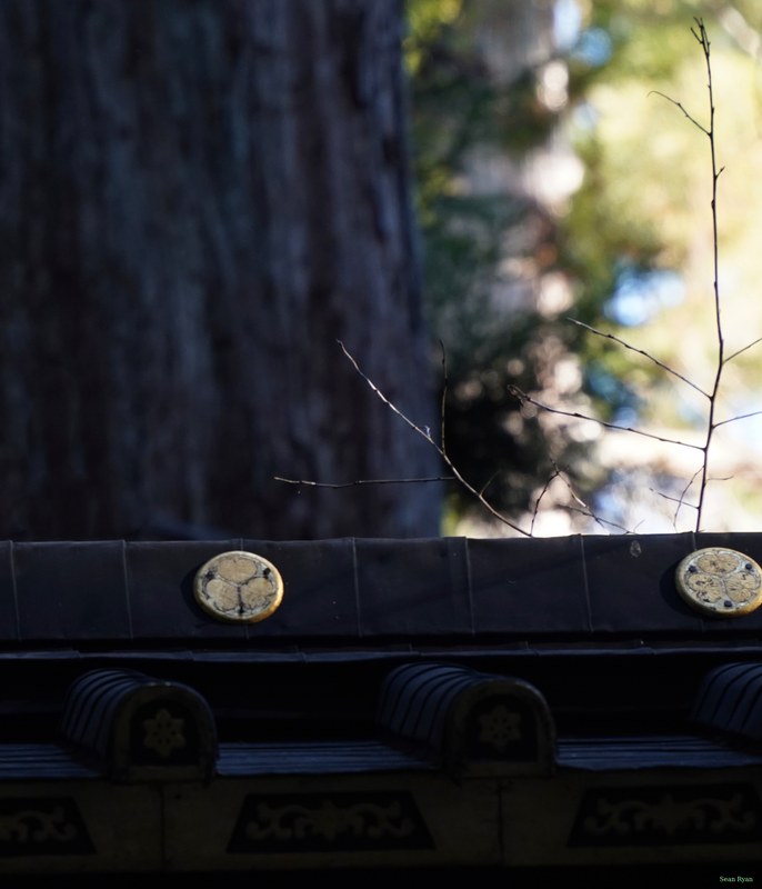 Nikko Temples - Futarasan-jinja Shrine And Takinoo Birth-and-marriage Shrine - SA700827.editted.rhs