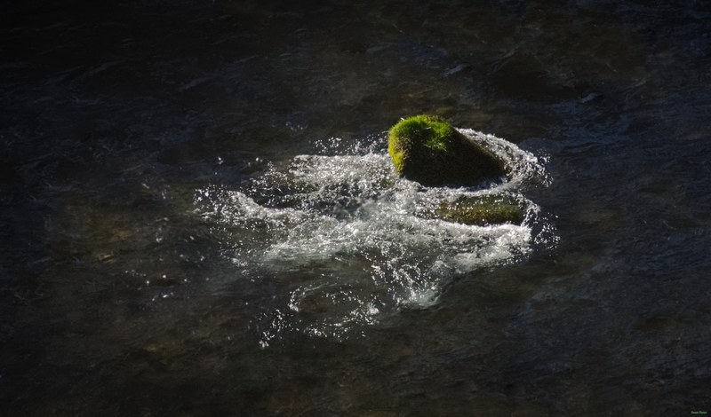 Nikko Temples - Futarasan-jinja Shrine And Takinoo Birth-and-marriage Shrine - SA700850.editted