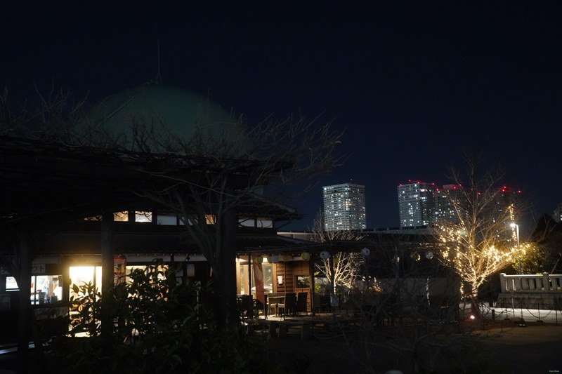 Tokyo - Ishihama Shrine By Night - SA700278.ok