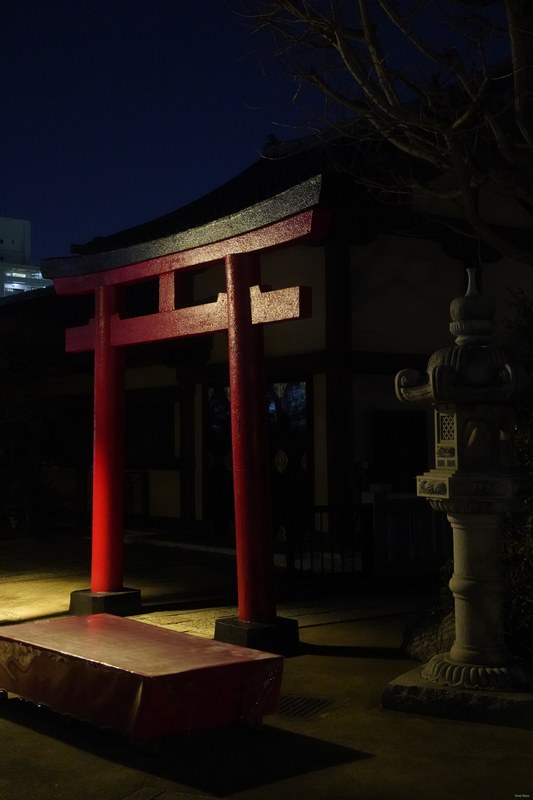 Tokyo - Ishihama Shrine By Night - SA700303.ok