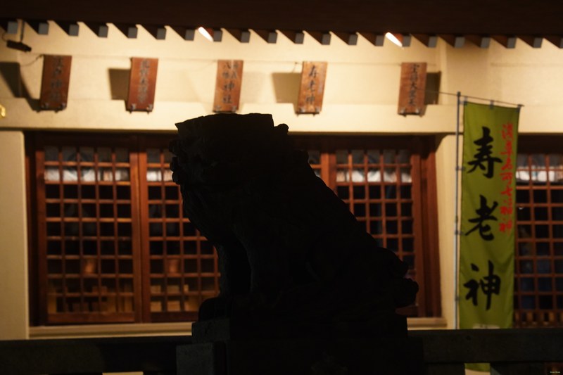 Tokyo - Ishihama Shrine By Night - SA700305.nice