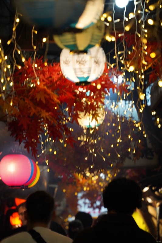 Nite-lites - SA709817.ok