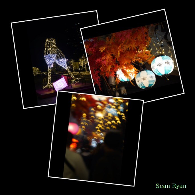 Nite-lites - Every Day Photos