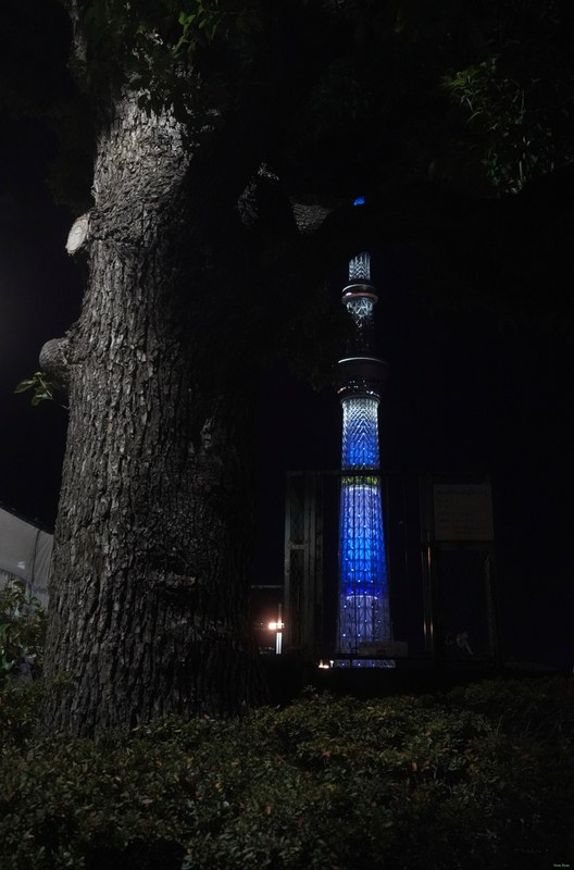 Tokyo - Skytree Across The Samura River By Night - SA700217.ok.editted