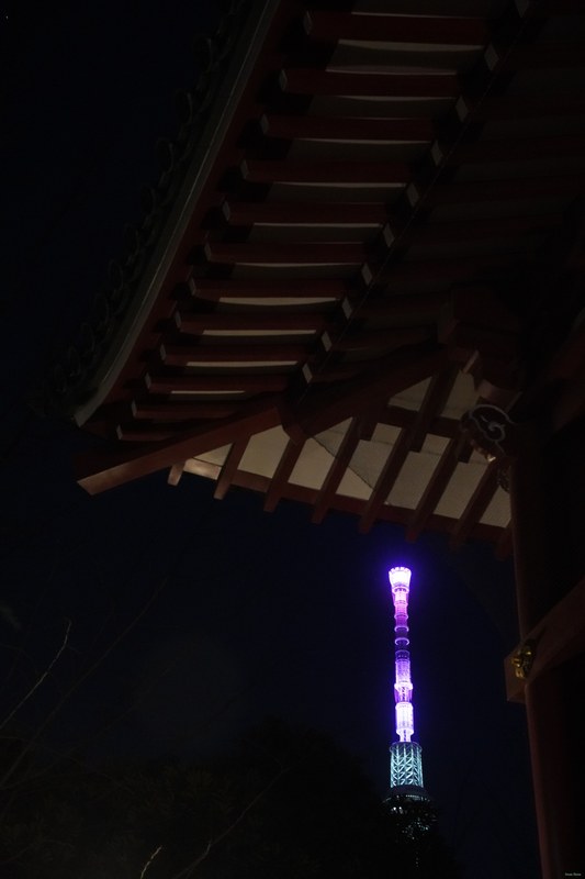 Tokyo - Skytree Across The Samura River By Night - SA700255.ok