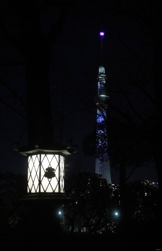 Tokyo - Skytree Across The Samura River By Night - SA700256.ok.editted