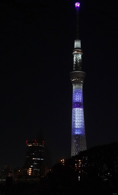 Tokyo - Skytree Across The Samura River By Night - SA700257.ok.editted