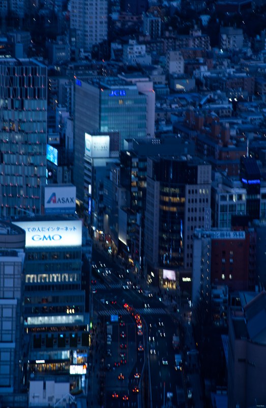 Tokyo Shibuya Sky At Scramble Square - SA700453.editted