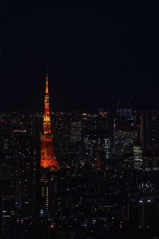 Tokyo Shibuya Sky At Scramble Square - SA700485.editted