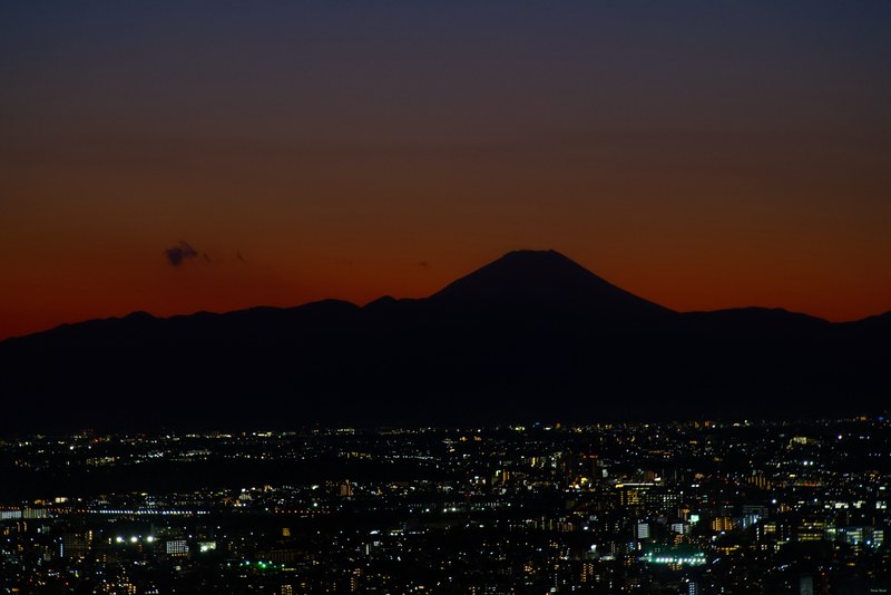 Tokyo Shibuya Sky At Scramble Square - SA700491.editted.warm