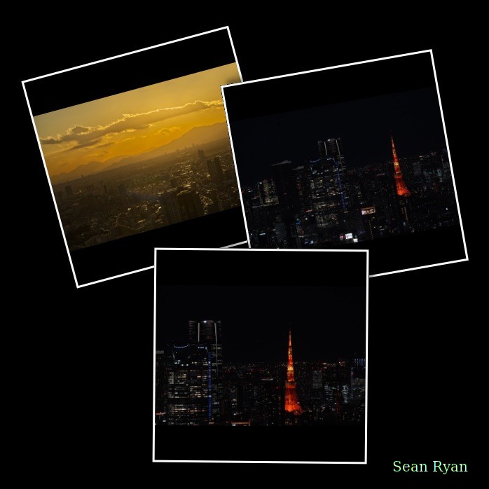 Tokyo Shibuya Sky At Scramble Square - Every Day Photos