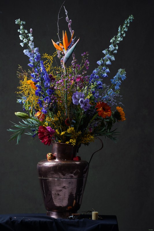 2026-02 - Still Life Workshop Den Haag - SA701866.ok.cool