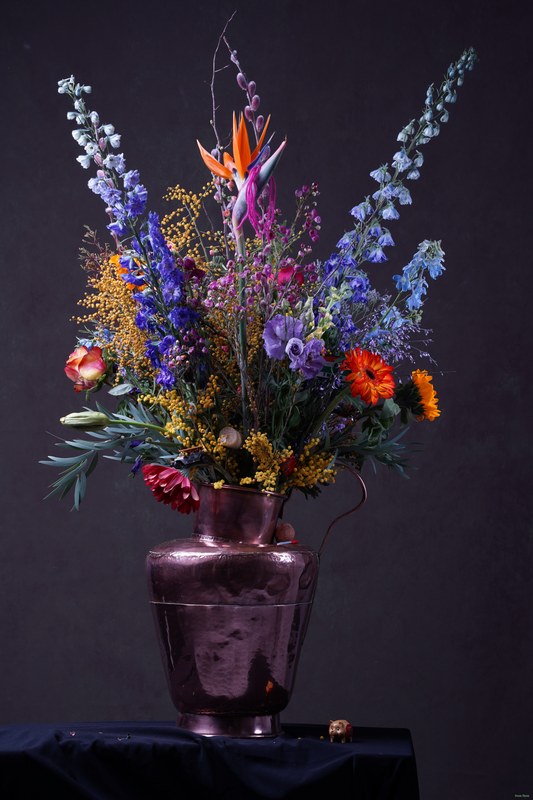 2026-02 - Still Life Workshop Den Haag - SA701881.ok-wb