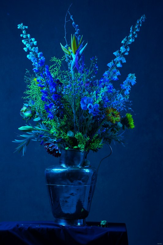 2026-02 - Still Life Workshop Den Haag - SA701883.ok.blue-wb