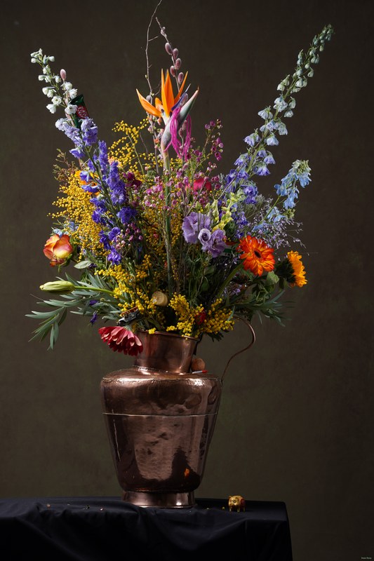 2026-02 - Still Life Workshop Den Haag - SA701891.ok