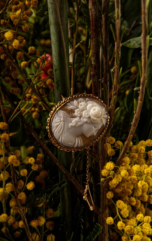 2026-02 - Still Life Workshop Den Haag - SA701976.editted