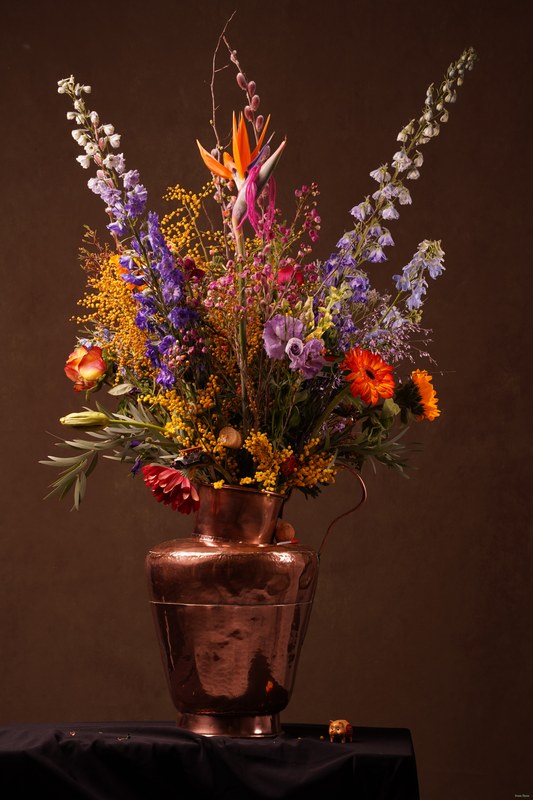 2026-02 - Still Life Workshop Den Haag - Every Day Photos