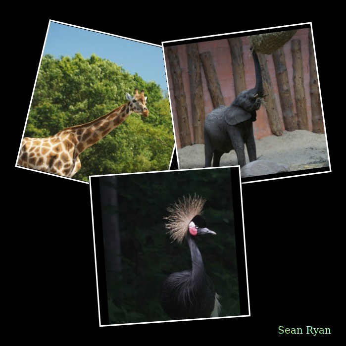 2026-06 - Beekse Bergen Safari