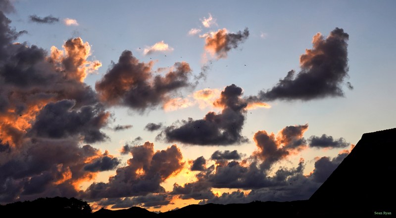 2026-06 - Texel Sunset - SA705751.editted.crop2