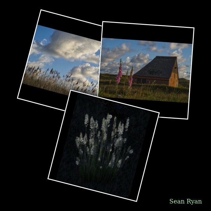 2026-06 - Texel Trouw Locatie By Morning Light - Every Day Photos
