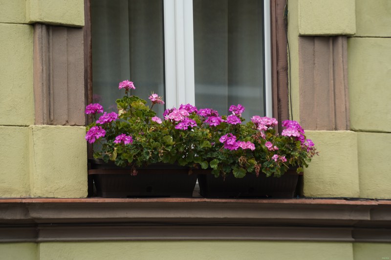 Brasov Old Town - SA709011.ok