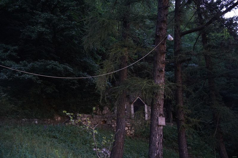 Transylvania - Bran Castle By Night - SA709598.ok.CriptaInimaReginaMaria