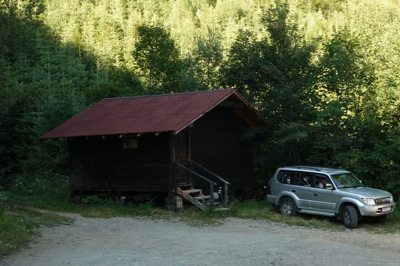 Wildlife Tour And Bear Hut - Zărnești Village - RX100805.ok