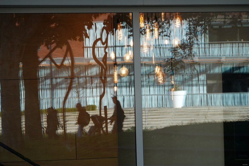 Reflections - RX100938.ok