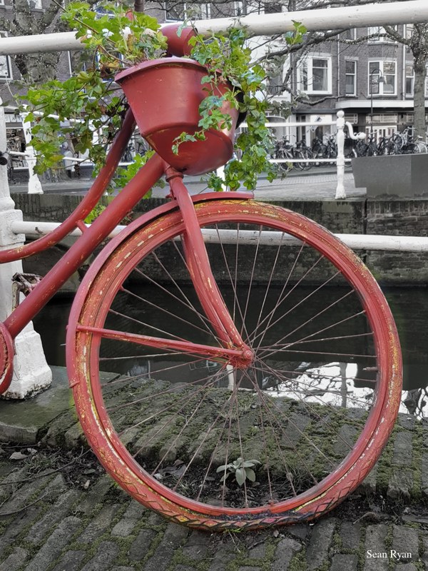 Dutch Bicycles Old And New - 07-2021-01-09-14.31.00.editted