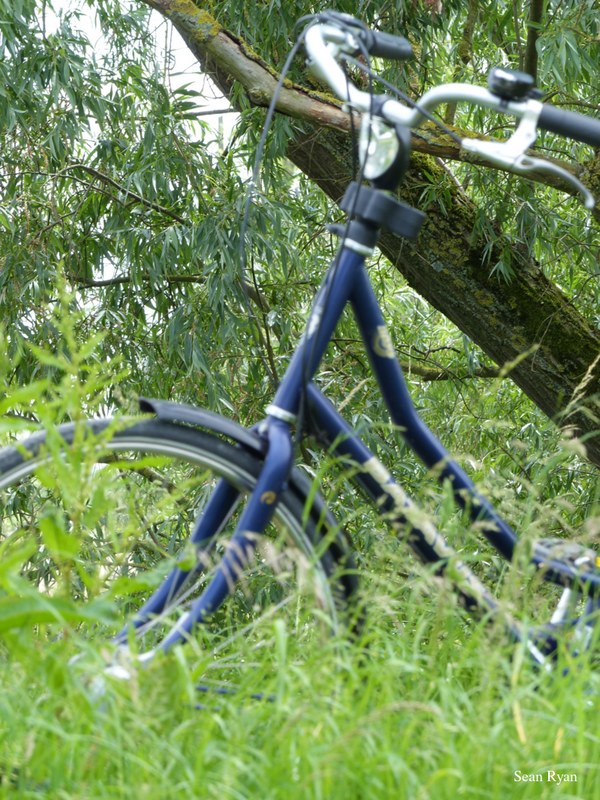 Dutch Bicycles Old And New - 09-25-bicycle-P1010407_-_Copy_3.editted