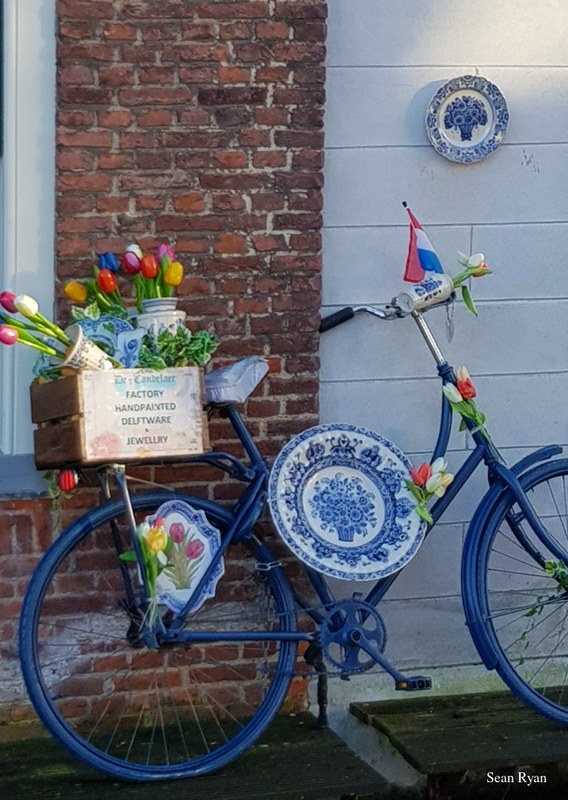 Dutch Bicycles Old And New - 10-2021-01-09_14.28.01.editted_cropped-for-portrait